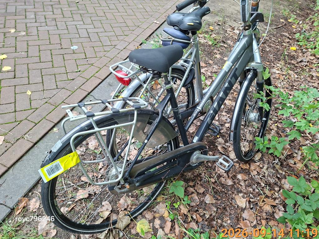Giant gevonden fiets